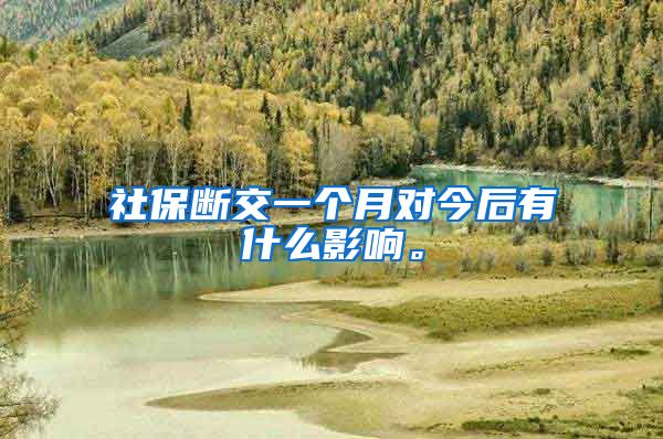 社保断交一个月对今后有什么影响。