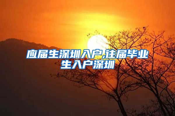 应届生深圳入户,往届毕业生入户深圳