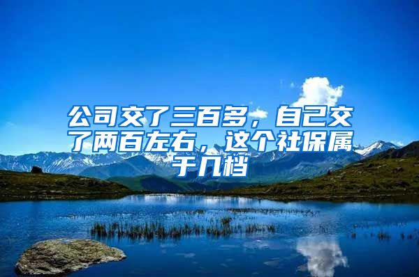 公司交了三百多，自己交了两百左右，这个社保属于几档