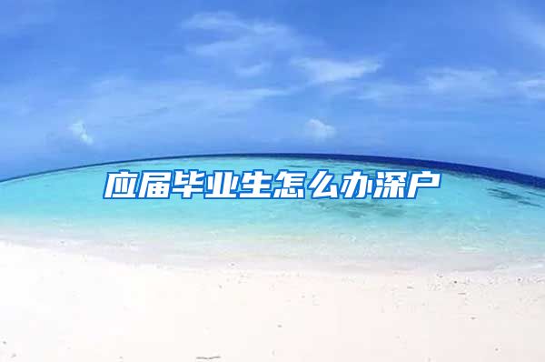 应届毕业生怎么办深户