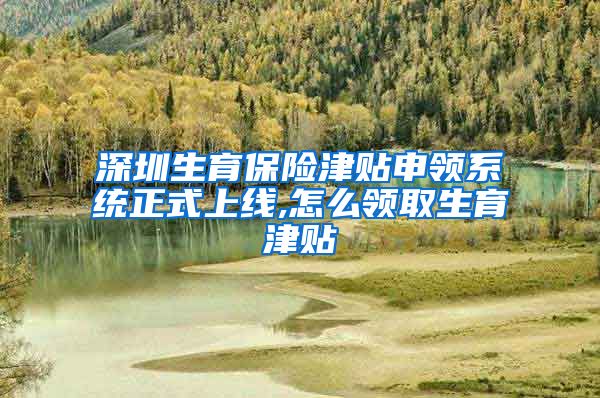 深圳生育保险津贴申领系统正式上线,怎么领取生育津贴