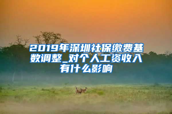 2019年深圳社保缴费基数调整_对个人工资收入有什么影响