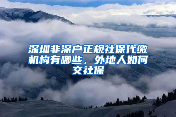 深圳非深户正规社保代缴机构有哪些，外地人如何交社保