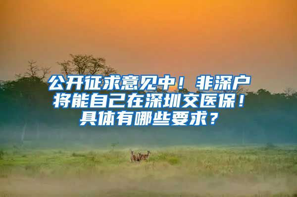 公开征求意见中！非深户将能自己在深圳交医保！具体有哪些要求？