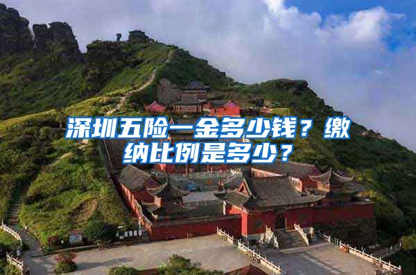 深圳五险一金多少钱？缴纳比例是多少？
