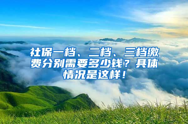 社保一档、二档、三档缴费分别需要多少钱？具体情况是这样！