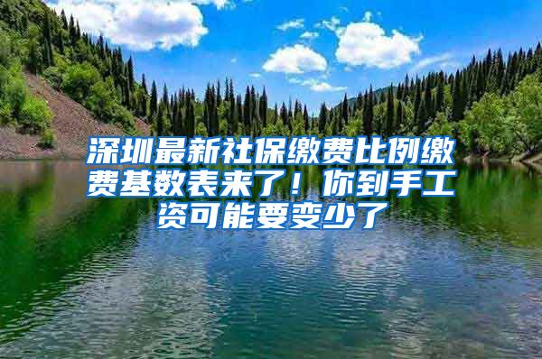 深圳最新社保缴费比例缴费基数表来了！你到手工资可能要变少了