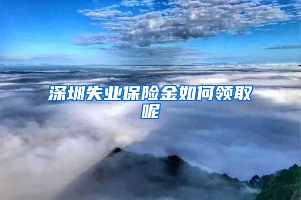 深圳失业保险金如何领取呢