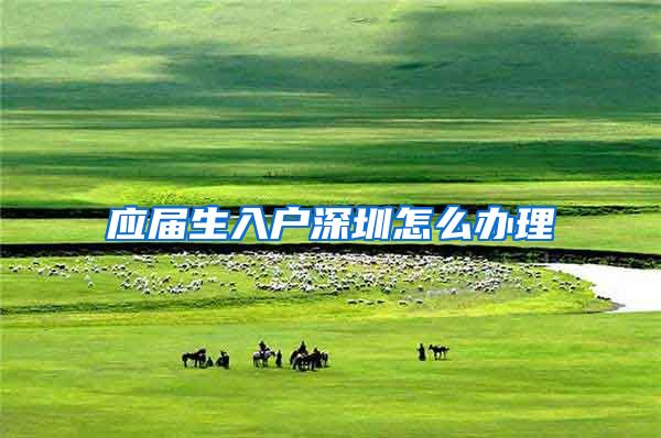 应届生入户深圳怎么办理