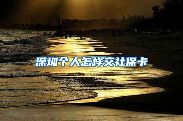 深圳个人怎样交社保卡