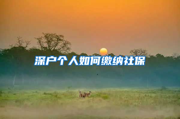 深户个人如何缴纳社保