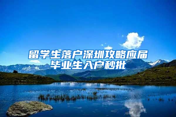 留学生落户深圳攻略应届毕业生入户秒批