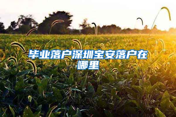 毕业落户深圳宝安落户在哪里