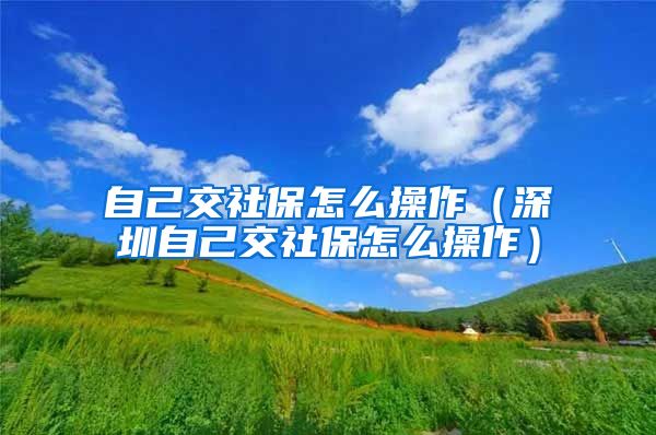 自己交社保怎么操作（深圳自己交社保怎么操作）