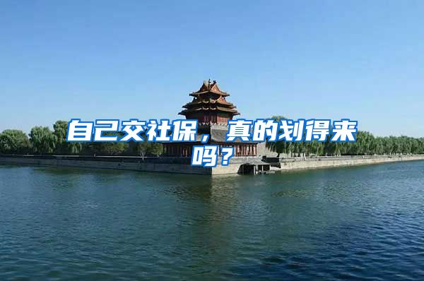 自己交社保，真的划得来吗？