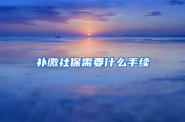 补缴社保需要什么手续