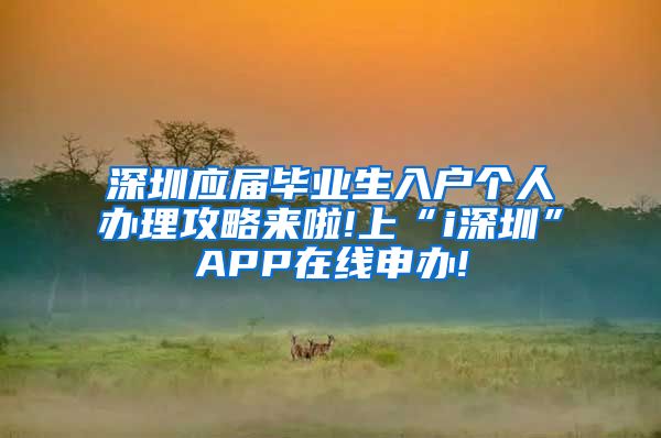 深圳应届毕业生入户个人办理攻略来啦!上“i深圳”APP在线申办!