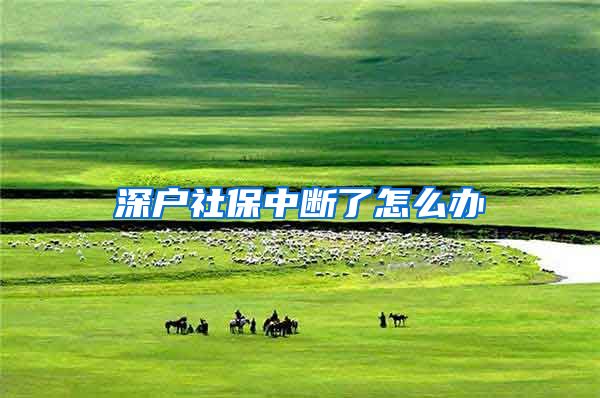 深户社保中断了怎么办