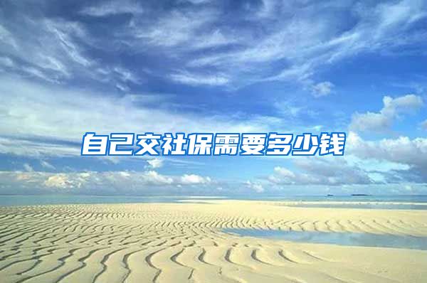 自己交社保需要多少钱