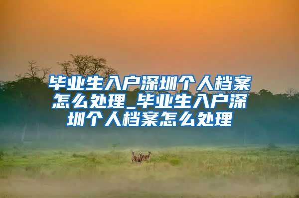 毕业生入户深圳个人档案怎么处理_毕业生入户深圳个人档案怎么处理