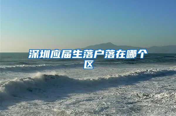 深圳应届生落户落在哪个区