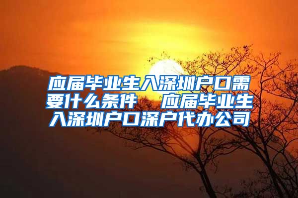 应届毕业生入深圳户口需要什么条件  应届毕业生入深圳户口深户代办公司