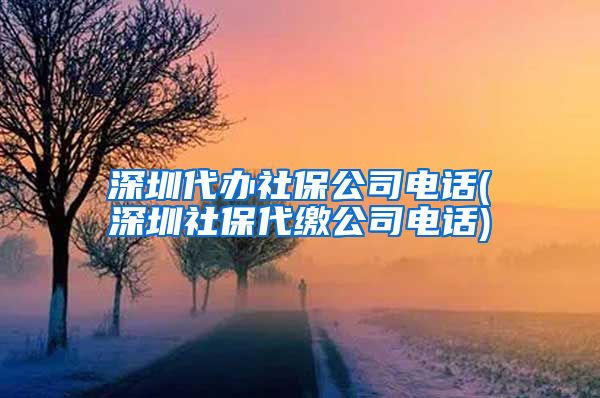 深圳代办社保公司电话(深圳社保代缴公司电话)