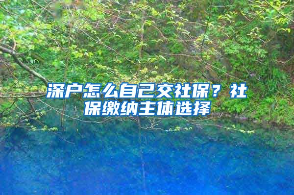 深户怎么自己交社保？社保缴纳主体选择