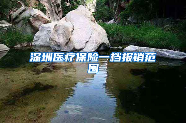 深圳医疗保险一档报销范围