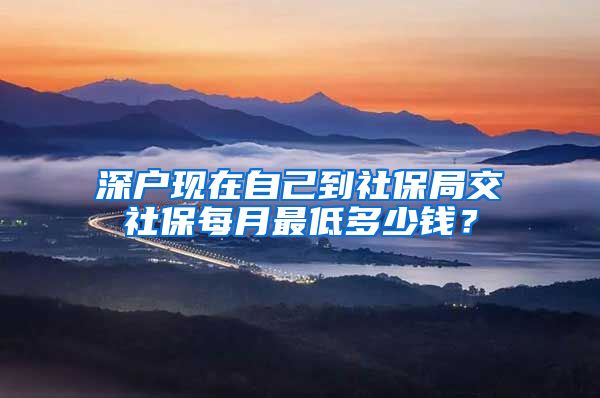 深户现在自己到社保局交社保每月最低多少钱？