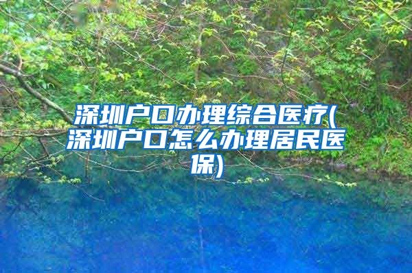 深圳户口办理综合医疗(深圳户口怎么办理居民医保)