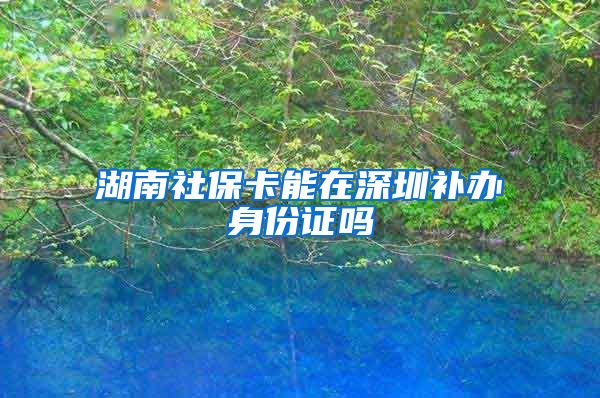 湖南社保卡能在深圳补办身份证吗