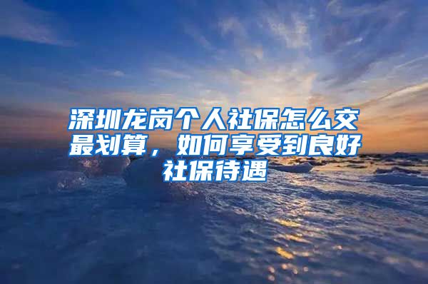 深圳龙岗个人社保怎么交最划算，如何享受到良好社保待遇