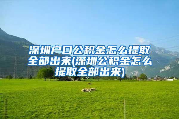 深圳户口公积金怎么提取全部出来(深圳公积金怎么提取全部出来)