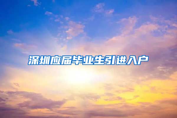 深圳应届毕业生引进入户