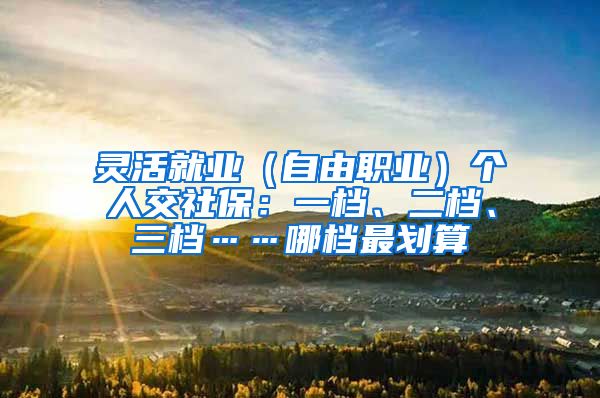 灵活就业（自由职业）个人交社保：一档、二档、三档……哪档最划算