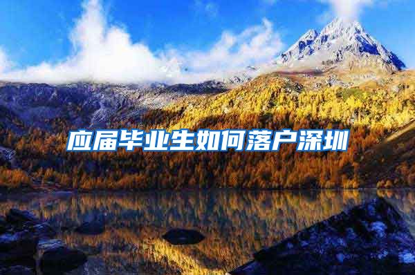 应届毕业生如何落户深圳