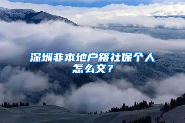深圳非本地户籍社保个人怎么交？