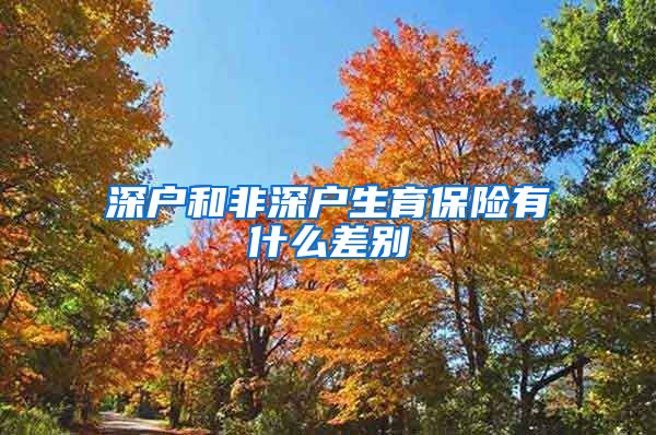深户和非深户生育保险有什么差别