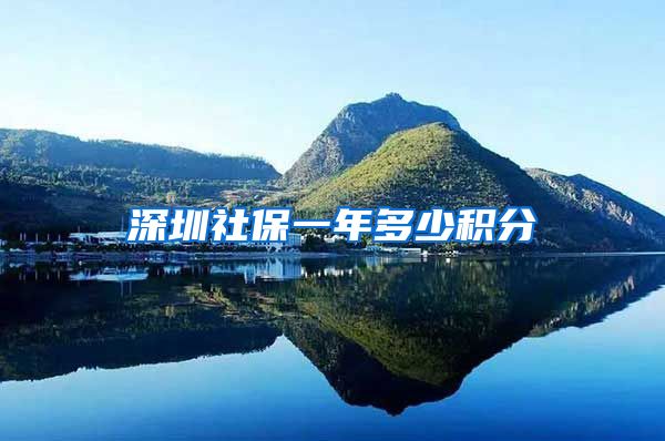 深圳社保一年多少积分