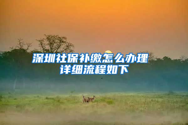 深圳社保补缴怎么办理 详细流程如下
