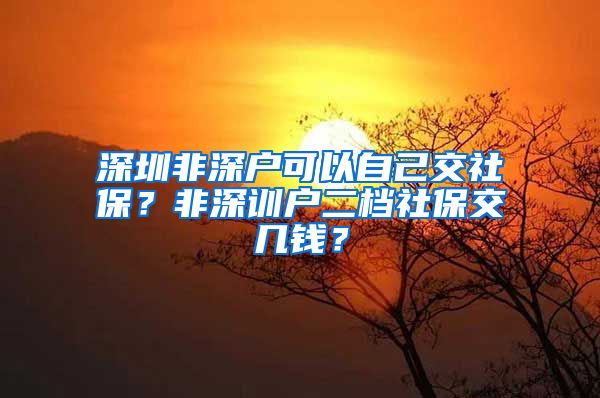 深圳非深户可以自己交社保？非深训户二档社保交几钱？
