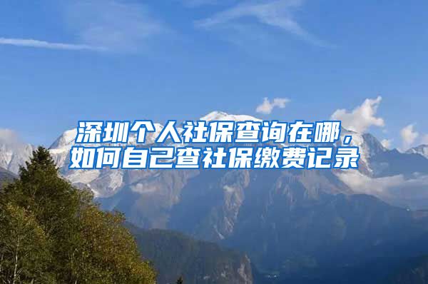 深圳个人社保查询在哪，如何自己查社保缴费记录