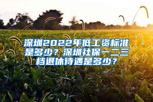 深圳2022年低工资标准是多少？深圳社保一二三档退休待遇是多少？