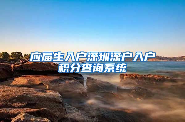 应届生入户深圳深户入户积分查询系统