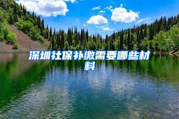 深圳社保补缴需要哪些材料
