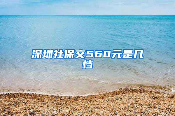 深圳社保交560元是几档