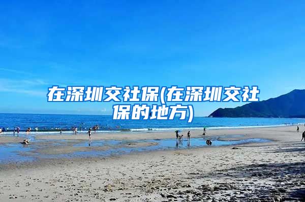 在深圳交社保(在深圳交社保的地方)