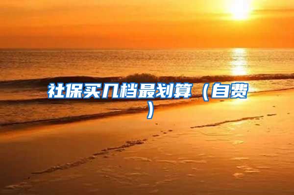 社保买几档最划算（自费）