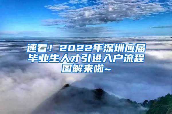 速看！2022年深圳应届毕业生人才引进入户流程图解来啦~